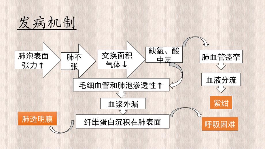 新生儿呼吸窘迫综合征图文课件_第4页