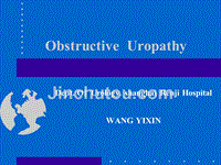 uropathy 尿路梗阻课件