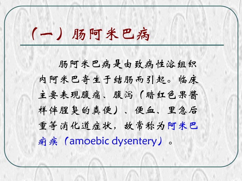 寄生虫病 病理学教研室课件_1_第3页