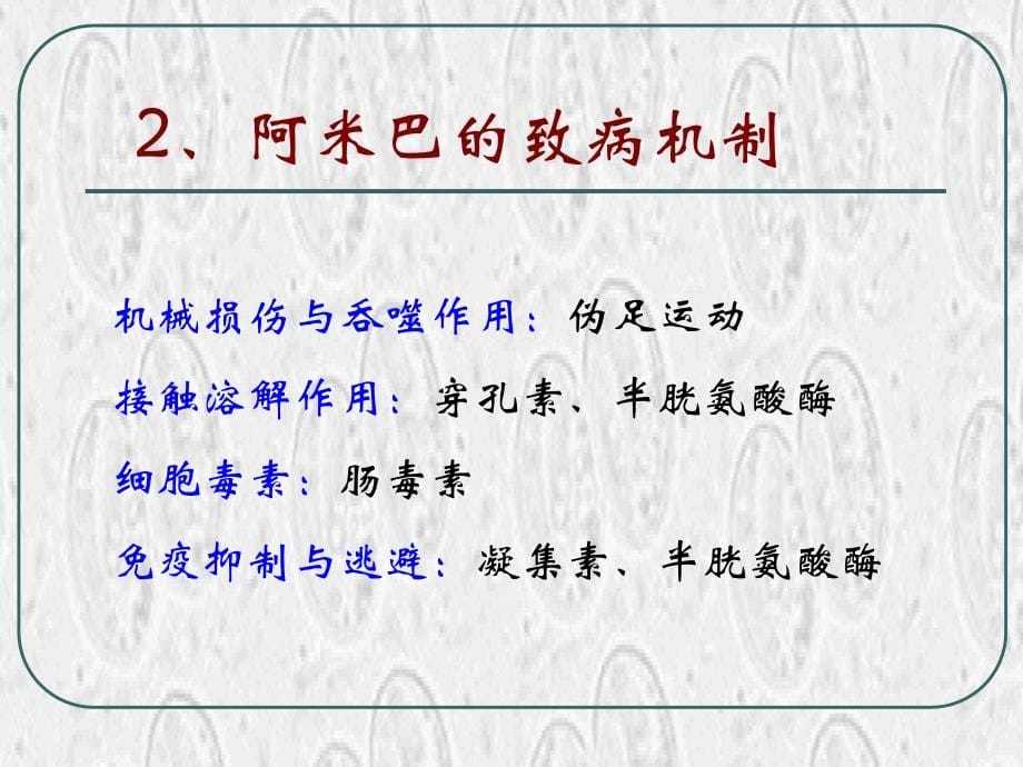 寄生虫病 病理学教研室课件_1_第5页