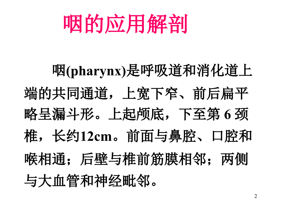 咽的解剖生理及生理咽炎课件_1_第2页