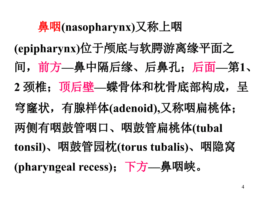 咽的解剖生理及生理咽炎课件_1_第4页