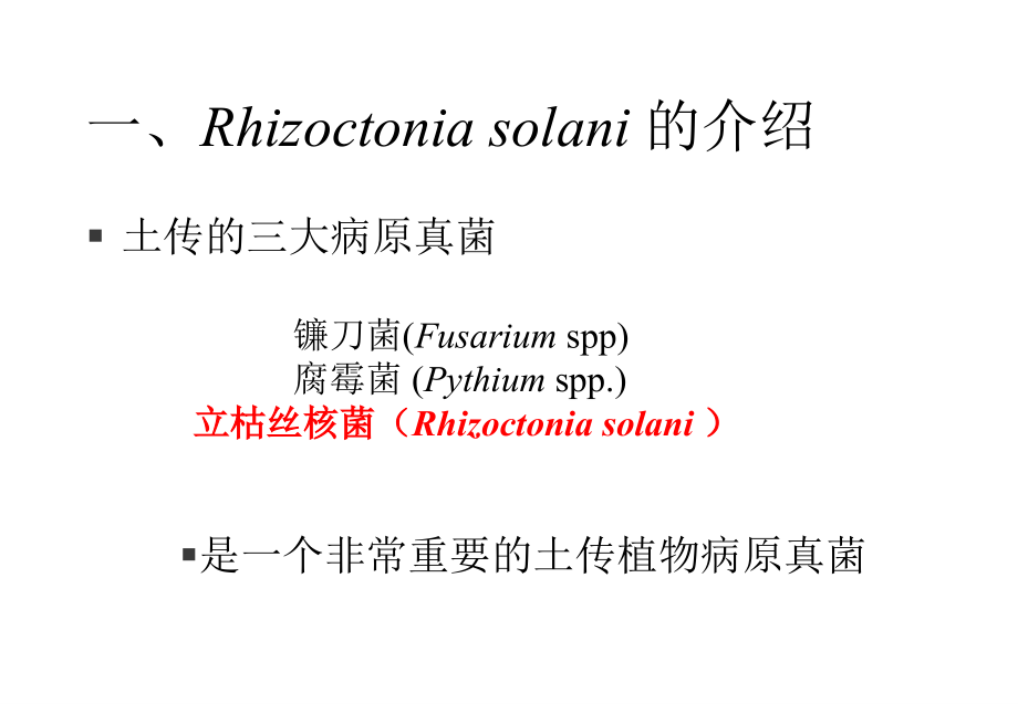 植物土传病原菌立枯丝核菌课件_第2页