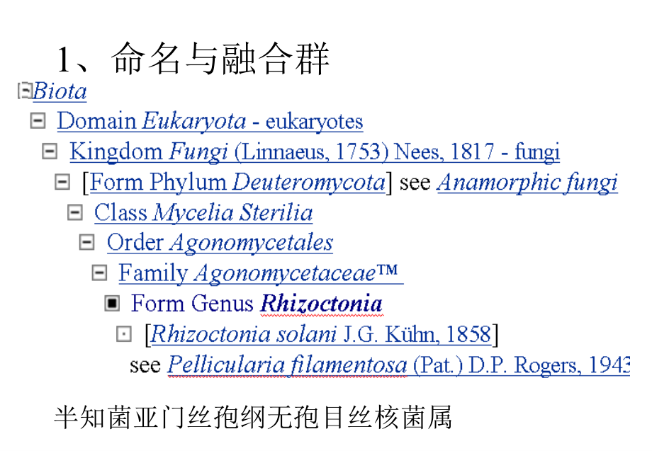 植物土传病原菌立枯丝核菌课件_第3页