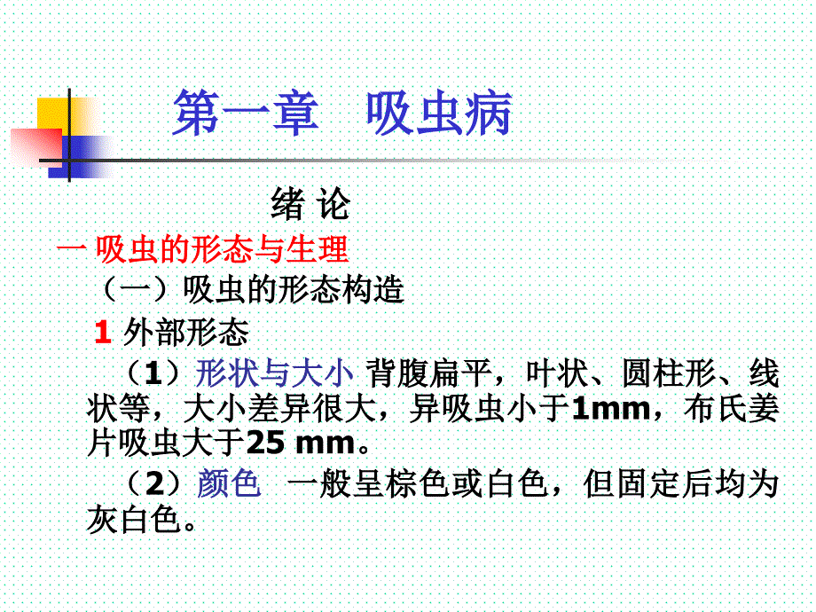 动物寄生虫之蠕虫病学吸虫课件_第2页