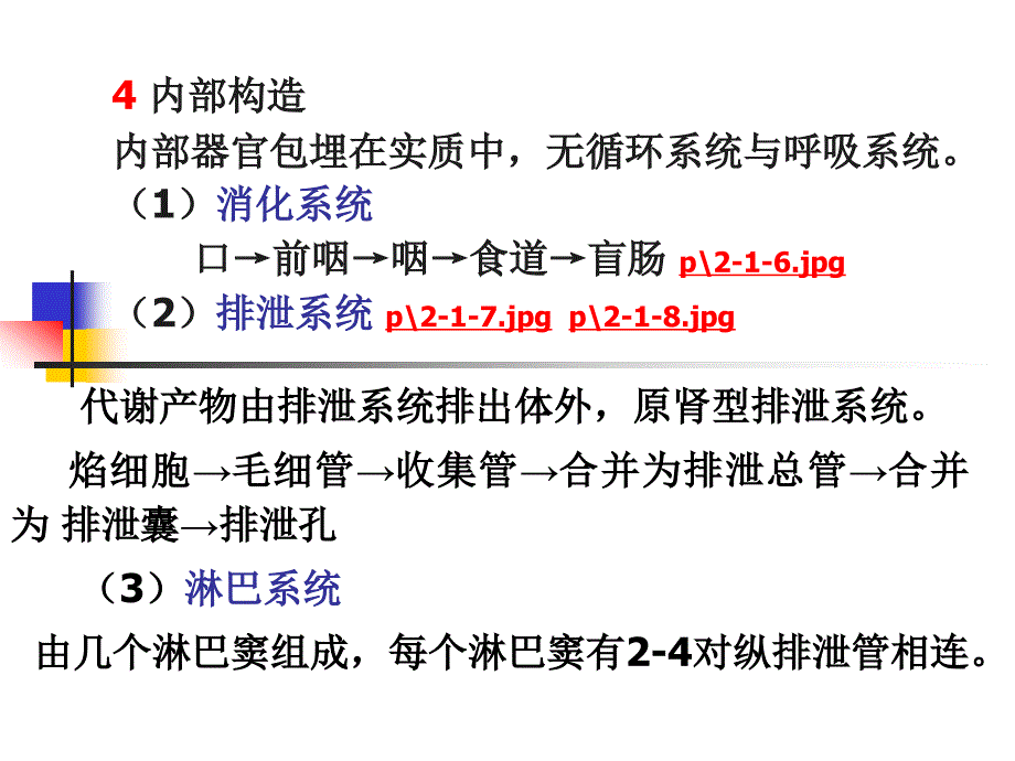 动物寄生虫之蠕虫病学吸虫课件_第4页