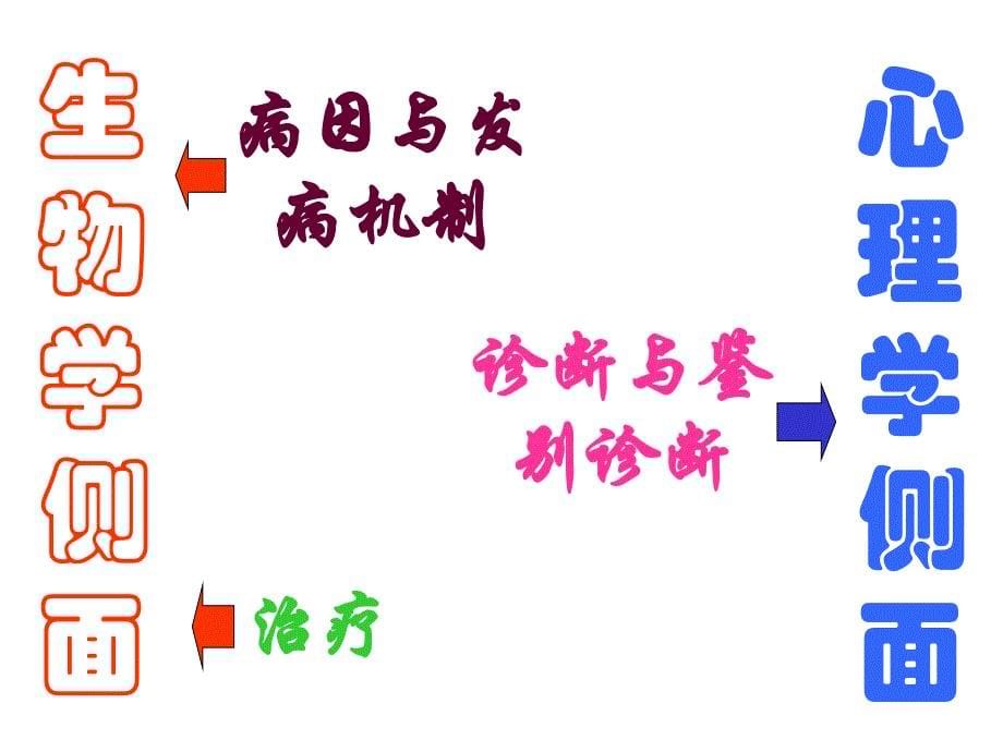 精神病的症状学课件_第5页