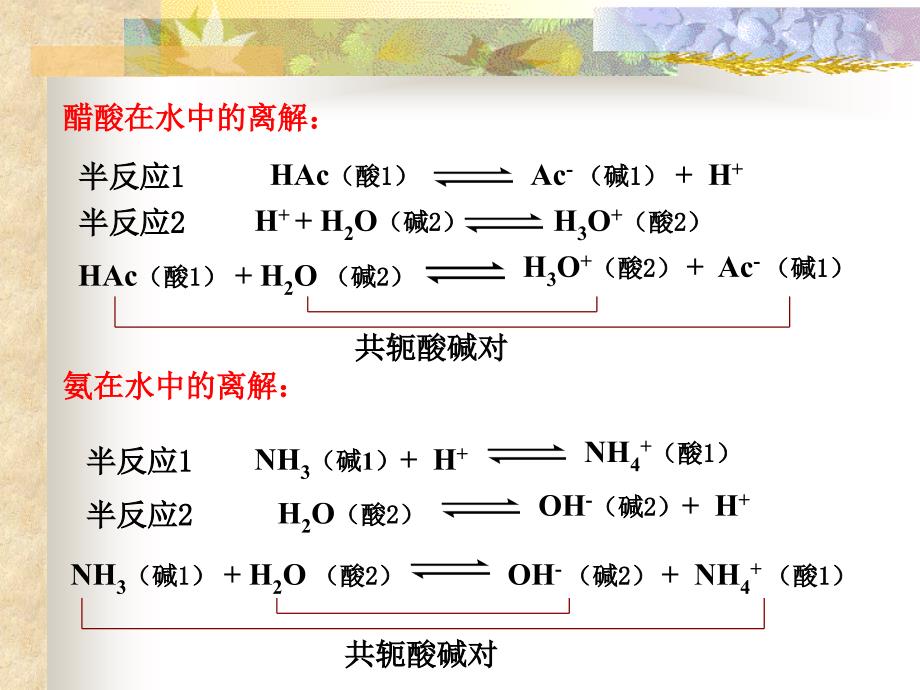 酸碱滴定法ppt课件_第4页