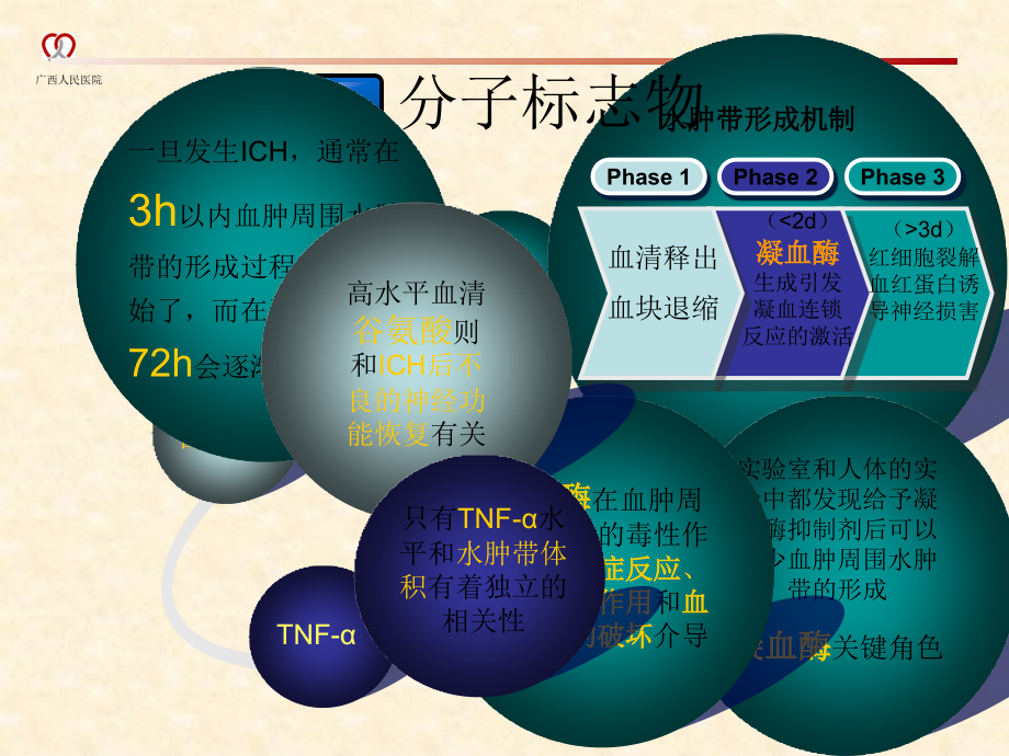 脑出血进展与2010年指南解读（白色）ppt课件_第4页