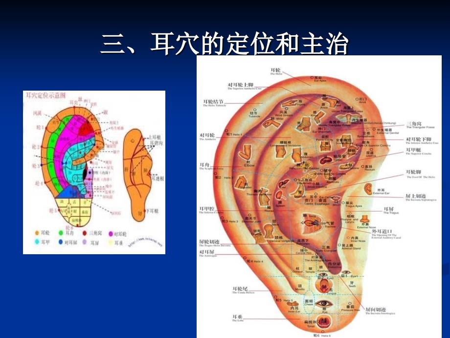 耳穴压豆课件（精品ppt）_第4页