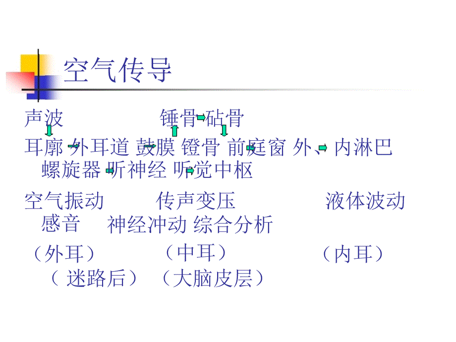 听觉生理和噪声聋病理生理课件_第4页