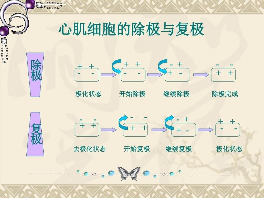 心电图教学一课件_第5页