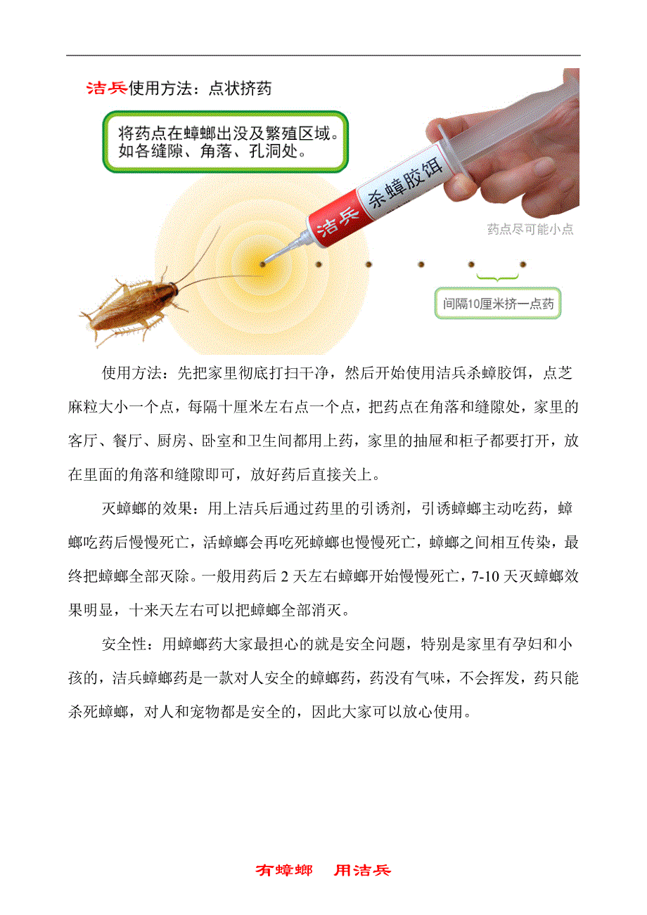 彻底消灭蟑螂的小妙招_第2页