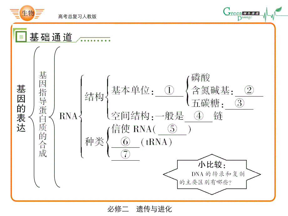 高考生物总复习课件人教版高中生物必修二《基因指导蛋白质的合成 基因对形状的控制》专题讲解_第4页