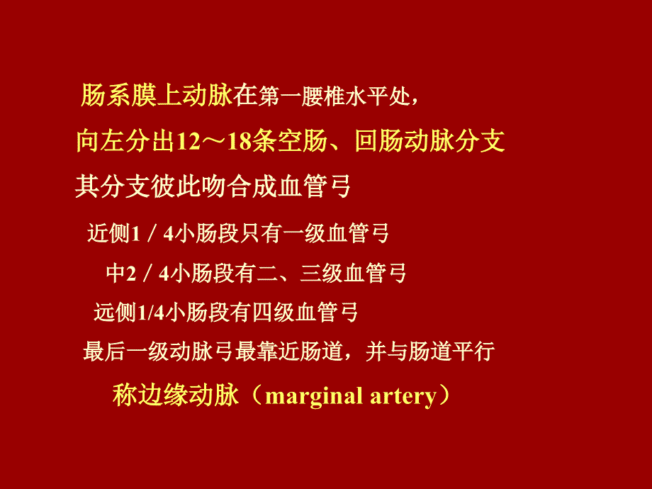 缺血性肠病（精品ppt）课件_第4页