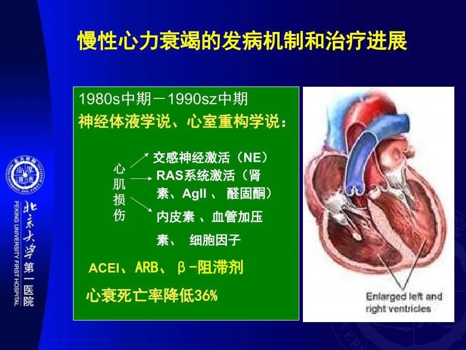 急性失代偿性心力衰竭诊治进展2009心衰指南亮点解读课件_第5页