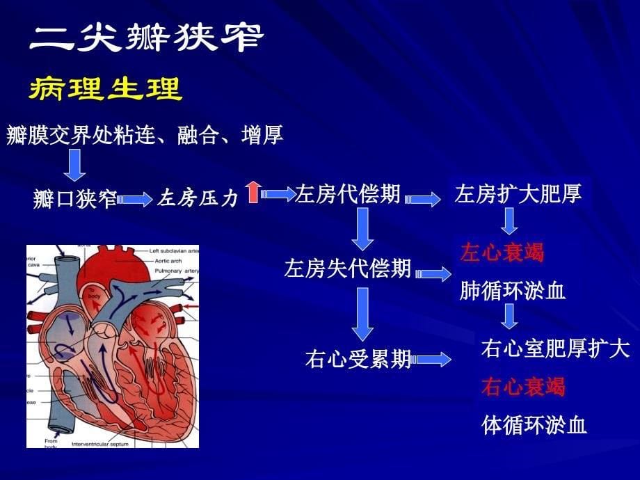 心脏瓣膜病的护理课件_第5页