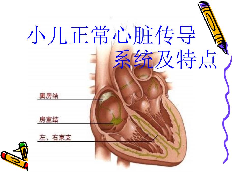 小儿心律失常临床特点与处理策略刘建平课件_第3页