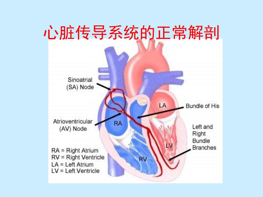 小儿心律失常临床特点与处理策略刘建平课件_第4页