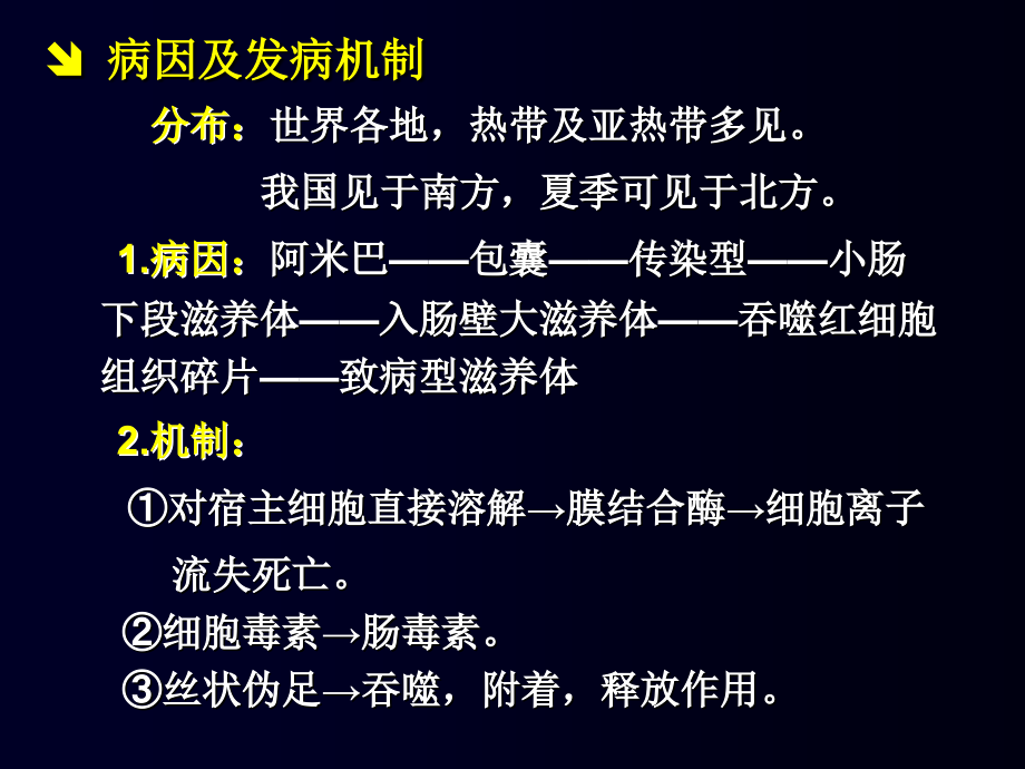 由溶组织内阿米巴原虫感染引起的一种寄生虫病主要累及结肠也可移行课件_第2页