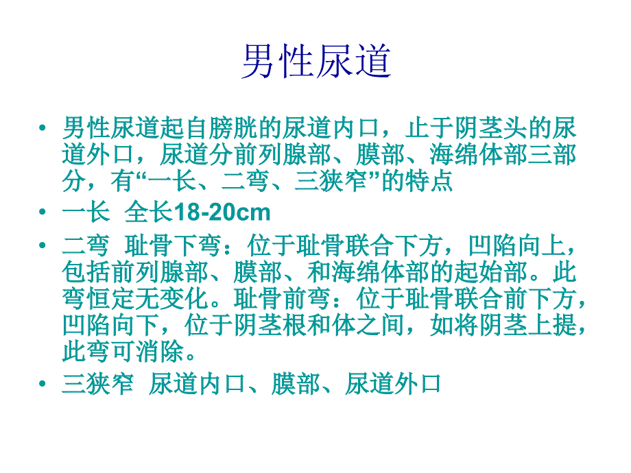 男性导尿术资料祥解课件_第3页