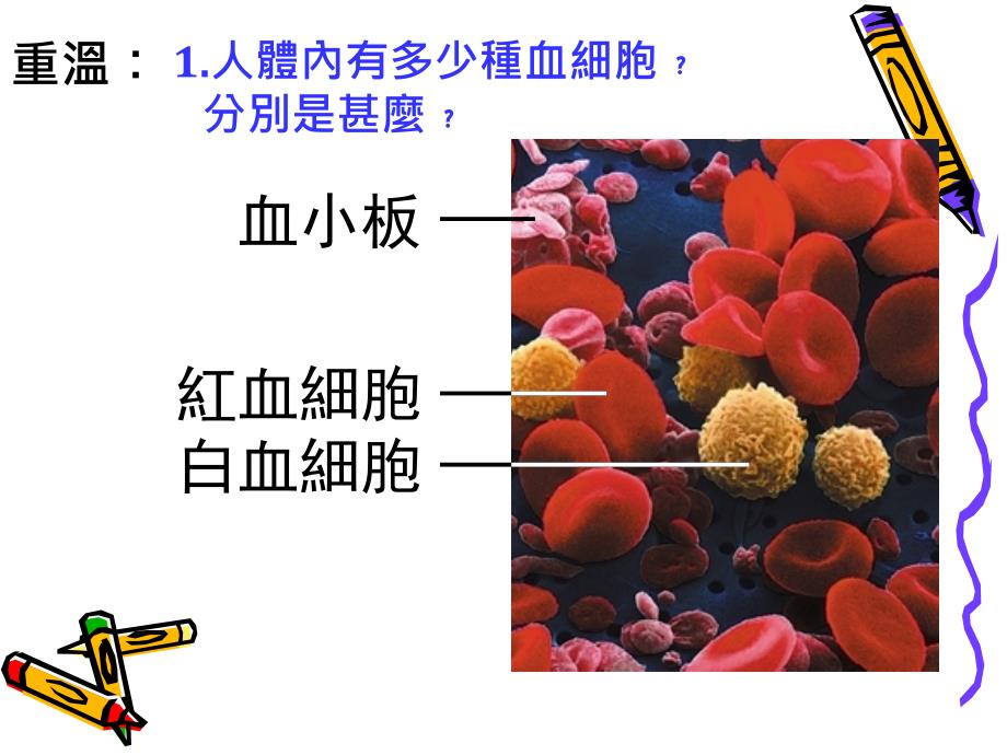 志达近日发觉自己的皮肤和眼睛巩膜变黄课件_第2页