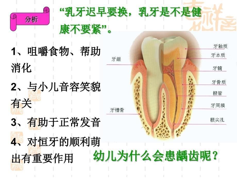 幼儿卫生与保健第四节消化系统_第5页