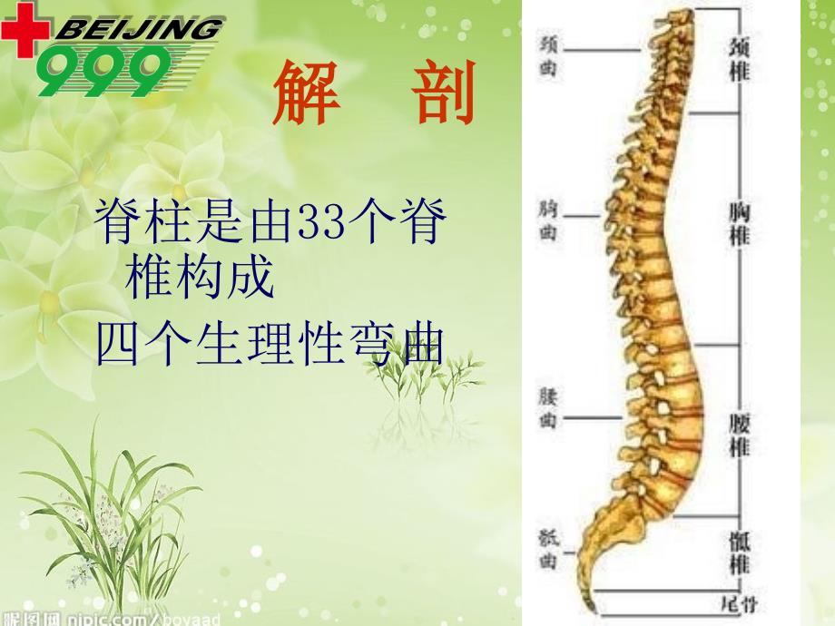 刘玉辉脊柱骨折的护理课件_第4页