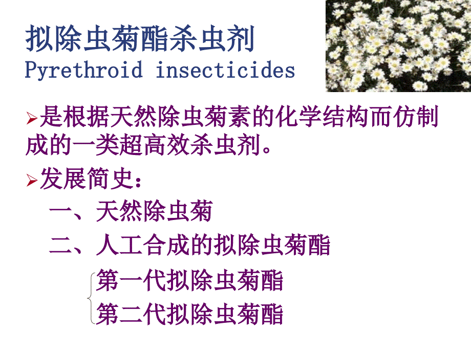 教学拟除虫菊酯杀虫剂课件_第1页