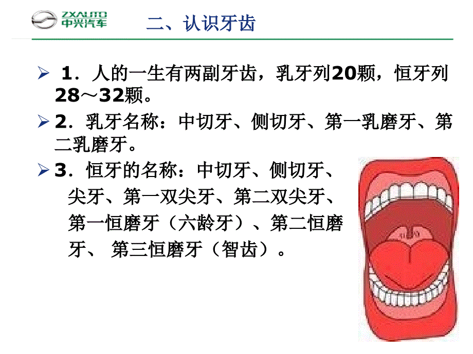 ppt课件-口腔保健知识普及_第4页