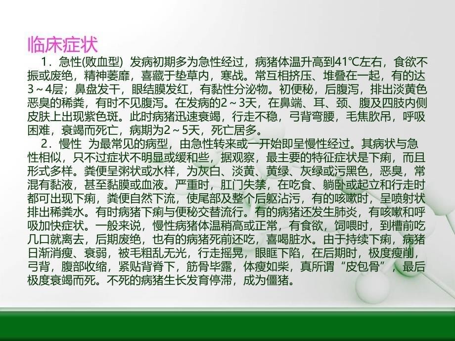 仔猪副伤寒症状图谱慢性课件_第5页