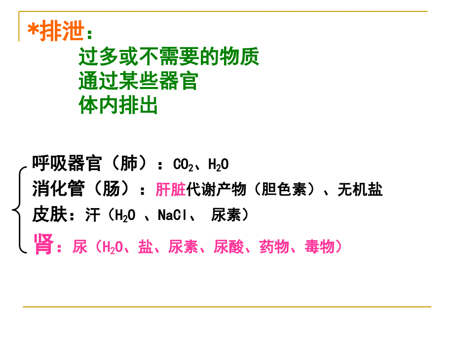 人体生理学课件   第八章  尿生成和排出第12节_第3页