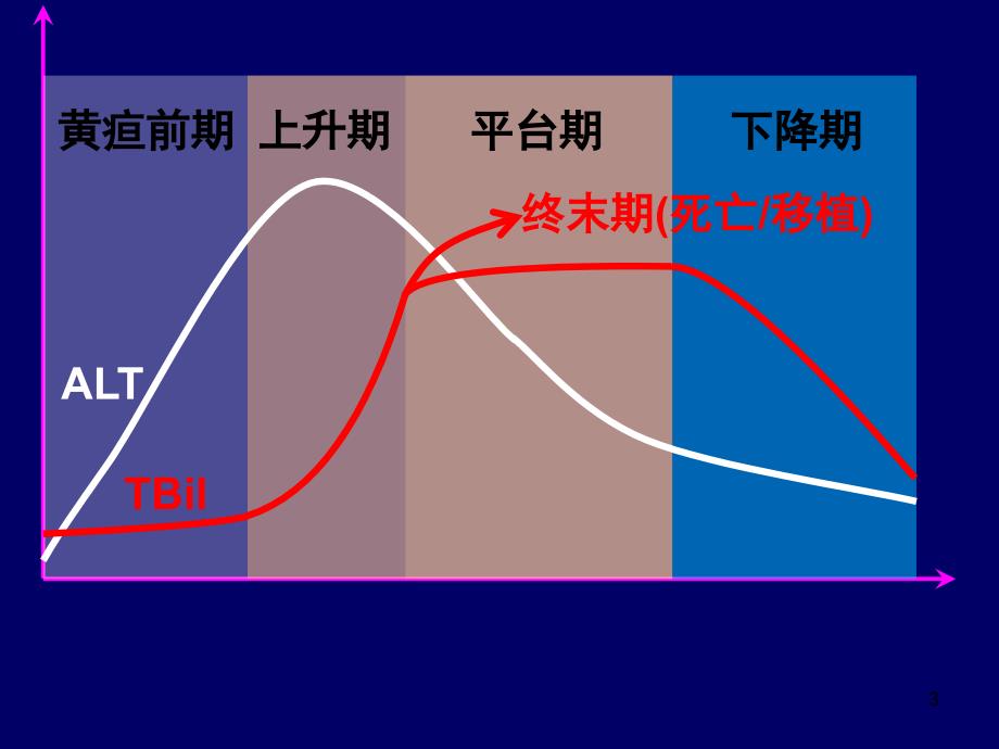 乙肝肝衰竭不同时相制病机制及处理对策课件_第3页