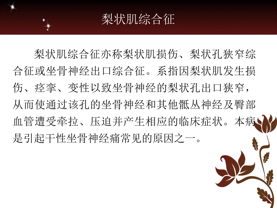 梨状肌与坐骨神经课件_第2页