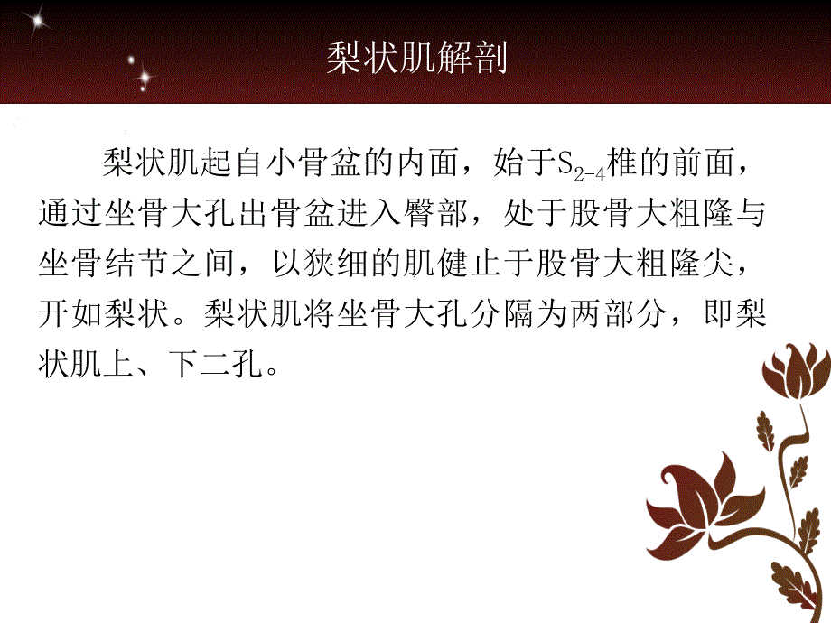 梨状肌与坐骨神经课件_第3页