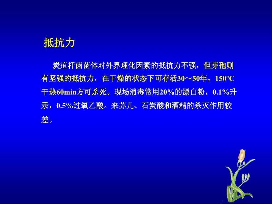 炭疽是由炭疽杆菌引起的人兽共患急性精品ppt精品课件_第5页