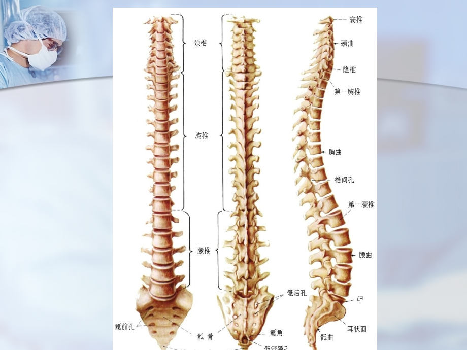 截瘫病人的护理课件_8_第3页