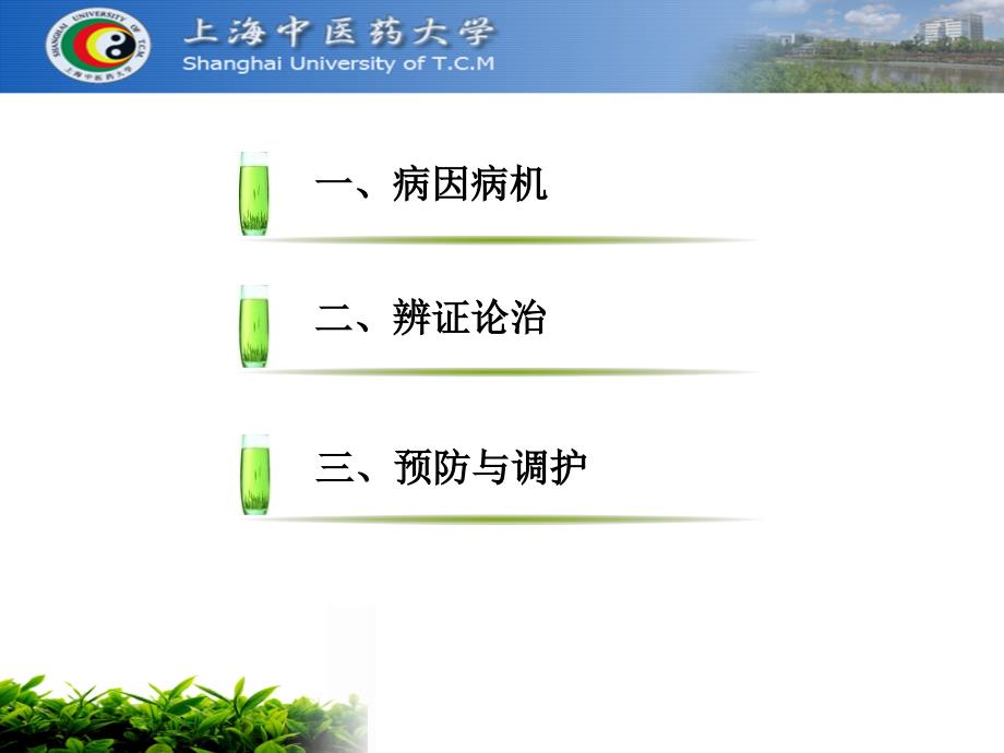 糖尿病的中医药防治ppt课件_第2页