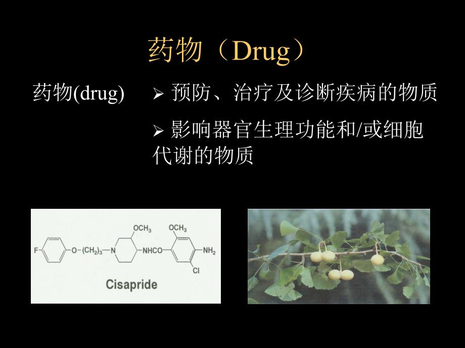 第1章  药理学总论—绪言_第4页