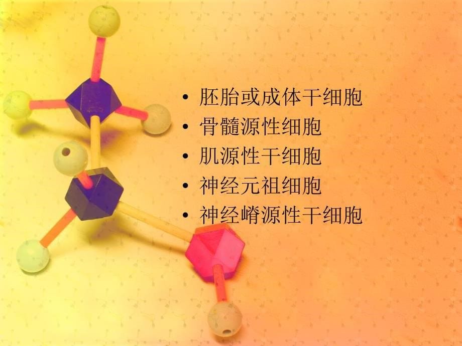 胃肠道组织工程课件_第5页