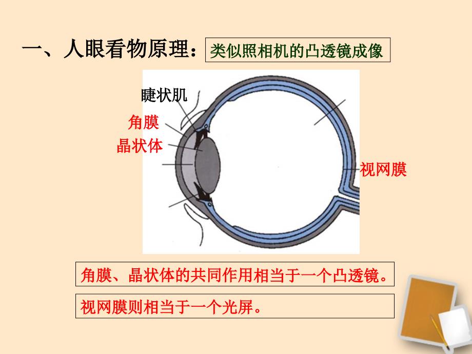 眼睛与光学仪器粤教沪版ppt课件_第2页