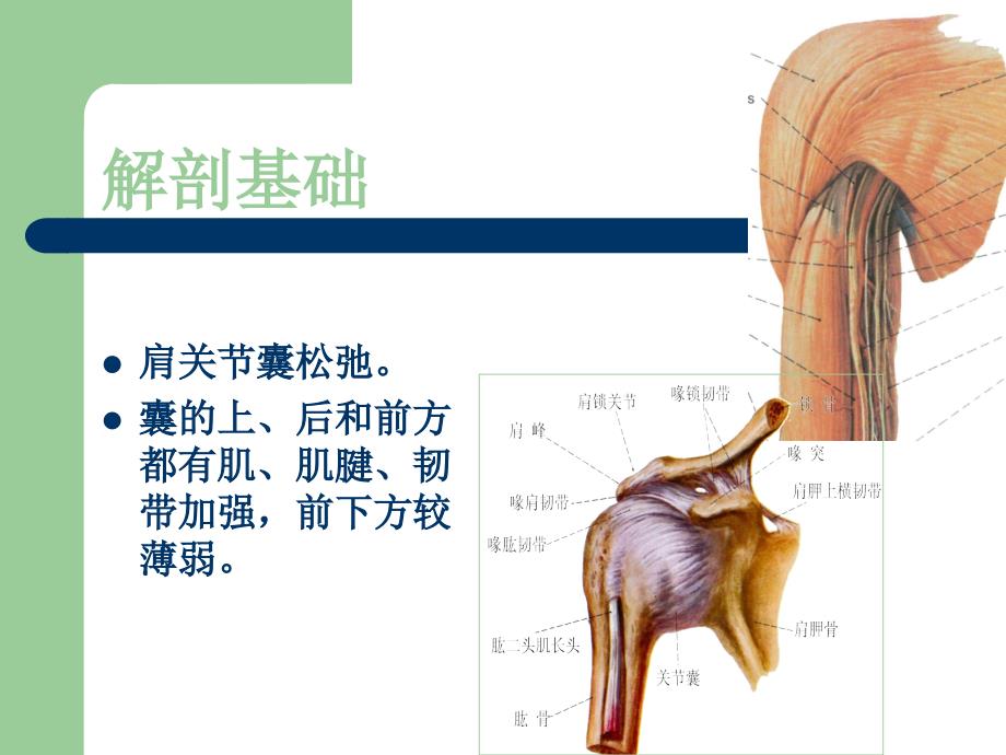 肩关节脱位精要课件_第4页