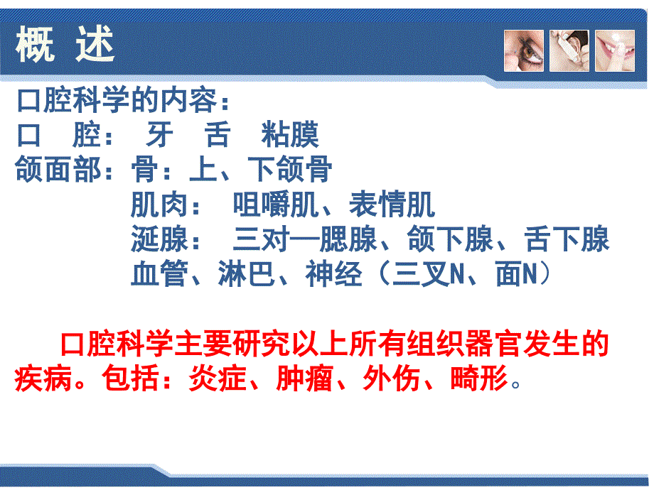 五官科学-第七章口腔颌面部应用解剖与生理_第3页