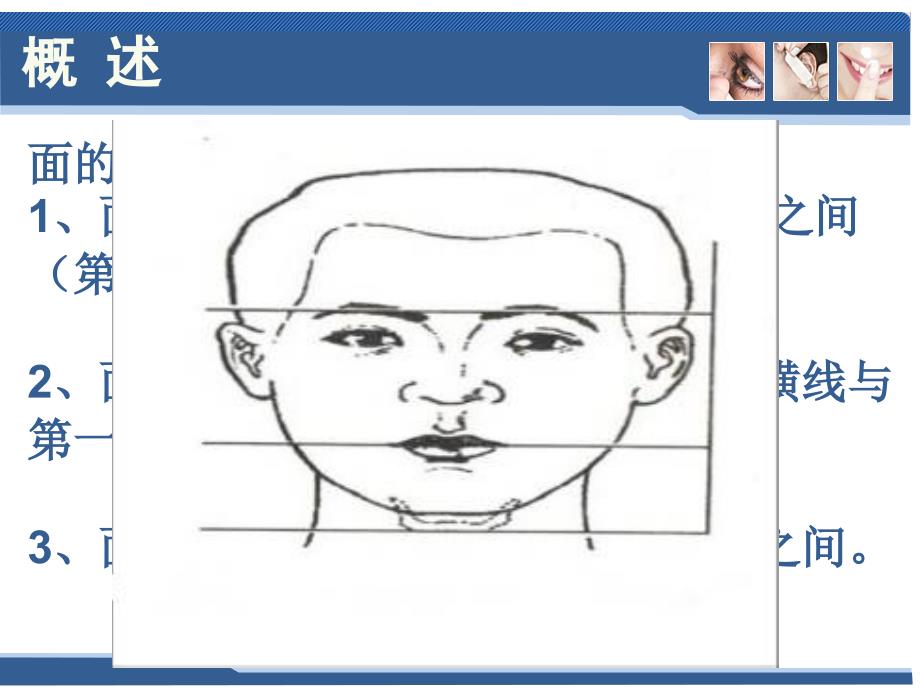 五官科学-第七章口腔颌面部应用解剖与生理_第4页