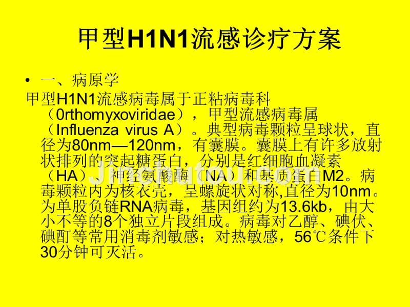 甲型hn流感预防培（ppt x页）课件_第2页