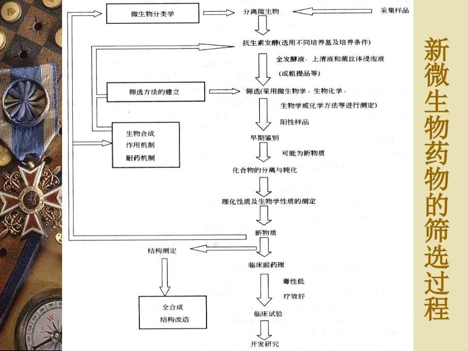 生物技术制药第8章ppt课件_第5页