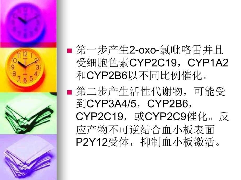 天津胸科医院心内科王伟cyp2c19基因多态性与氯吡咯雷反应变异性的研究进展课件_第5页