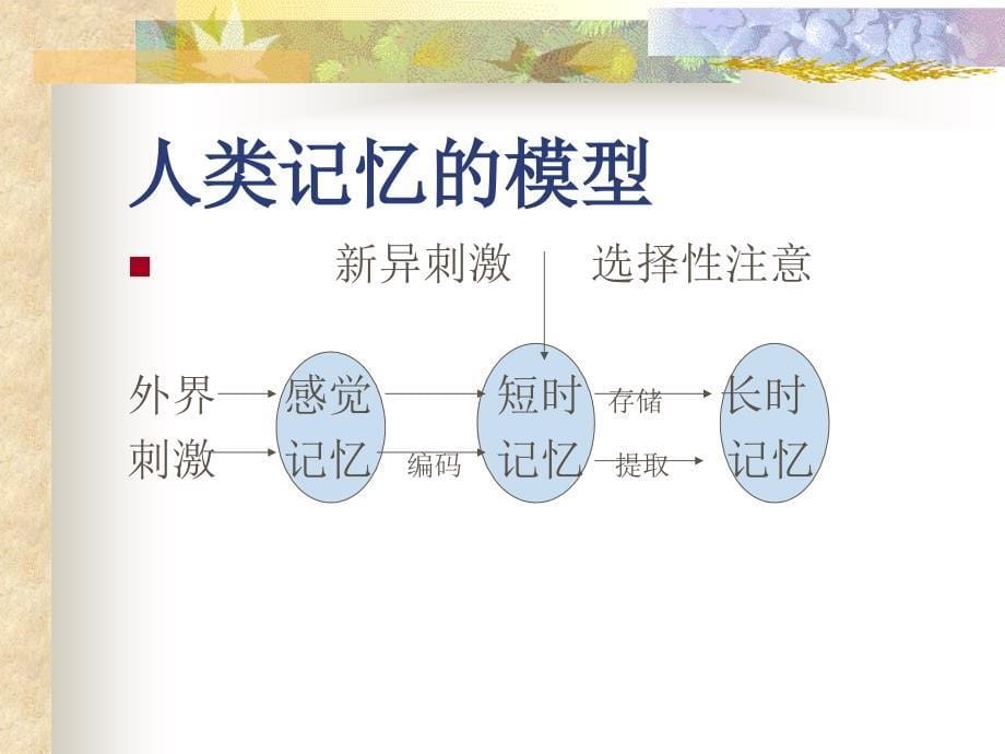 神奇的记忆ppt课件_第5页