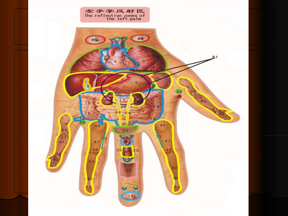 线掌纹诊病与治病ppt课件_第4页