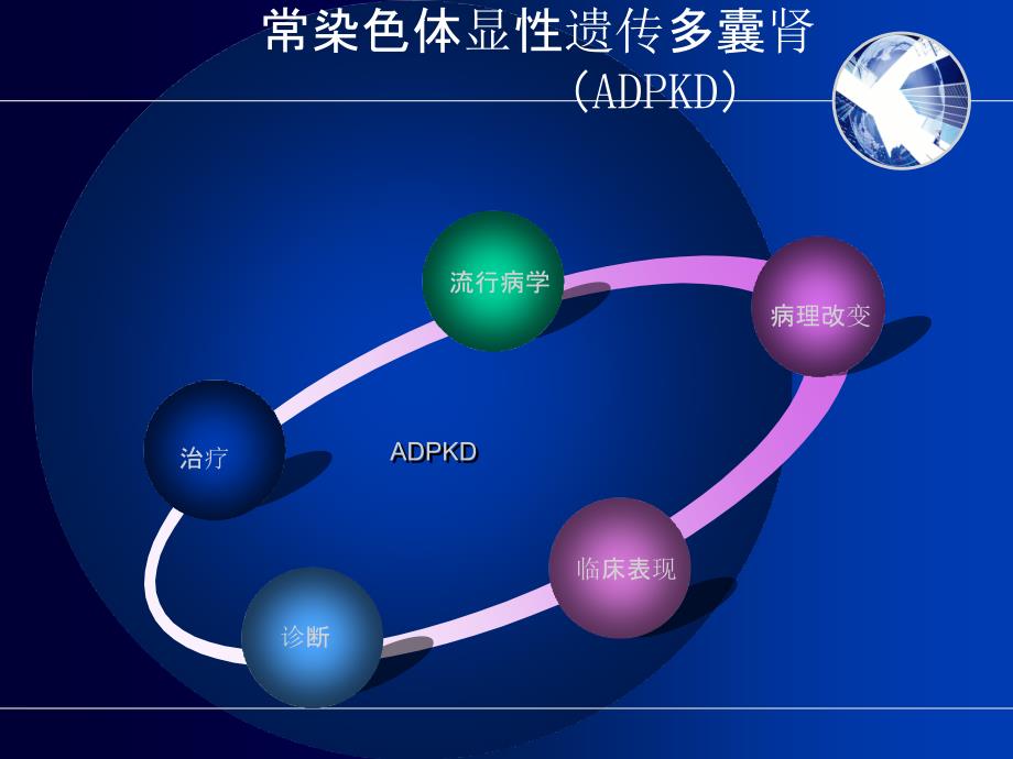 整理版常染色体显性遗传多囊肾病囊肿往顶减压术价值的商量课件_第4页